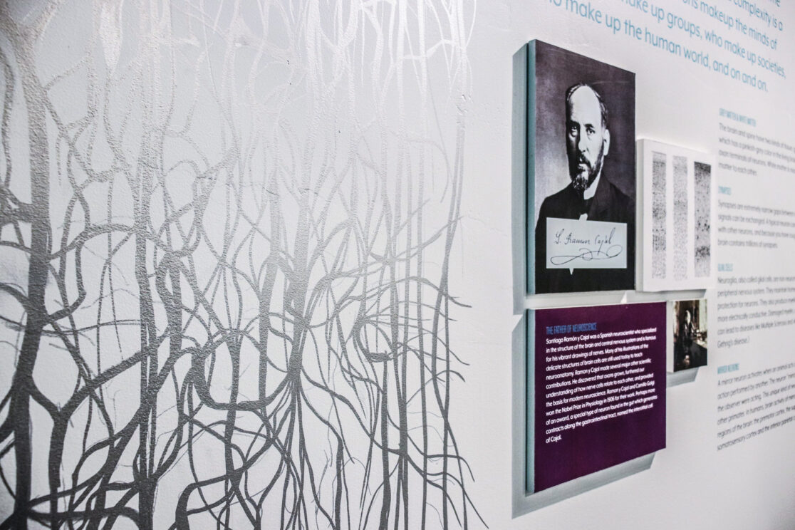 Alive Brain Room Detail