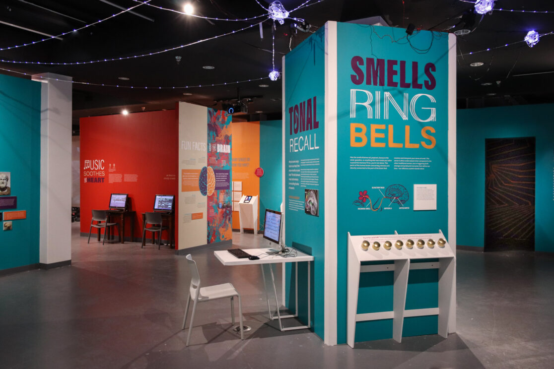 Alive Smells Ring Bells