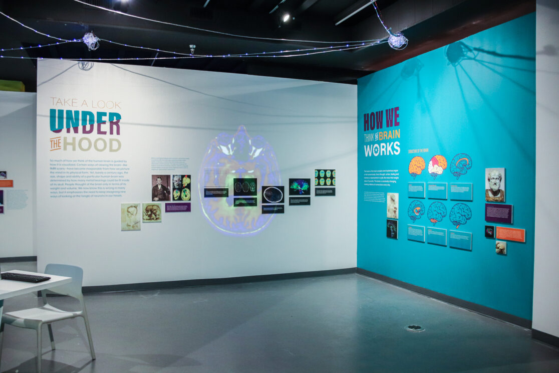 Alive Take a Look Under the Hood