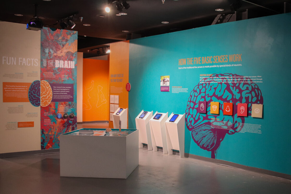 Alive Great Room Detail