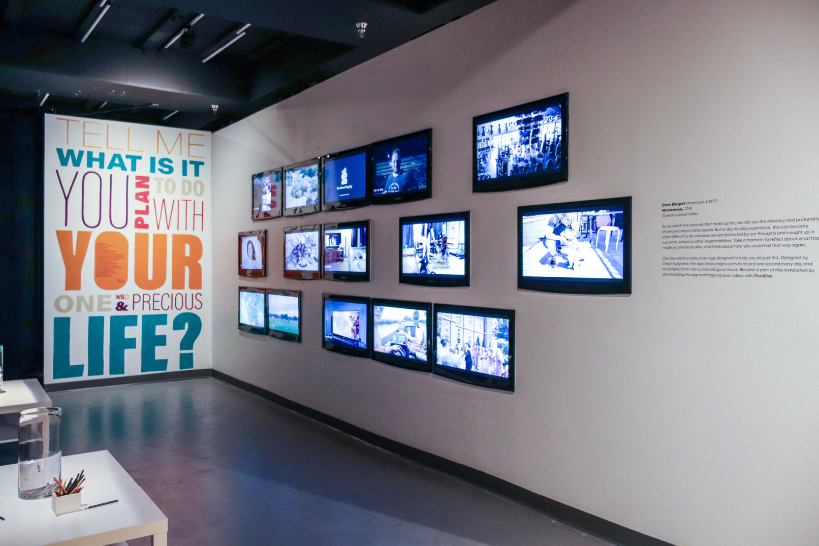 Alive One Second Everyday Wall