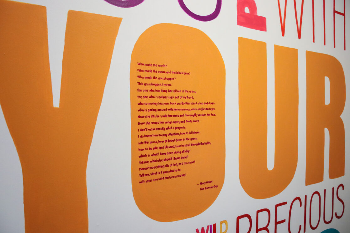 Alive The Summer Day Closeup