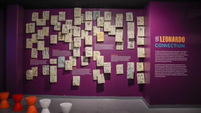 The Leonardo Da Vinci Connection