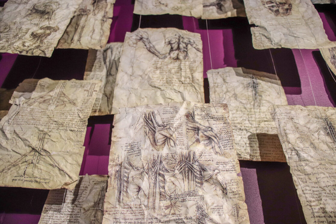 The Leonardo Da Vinci Connection Detail