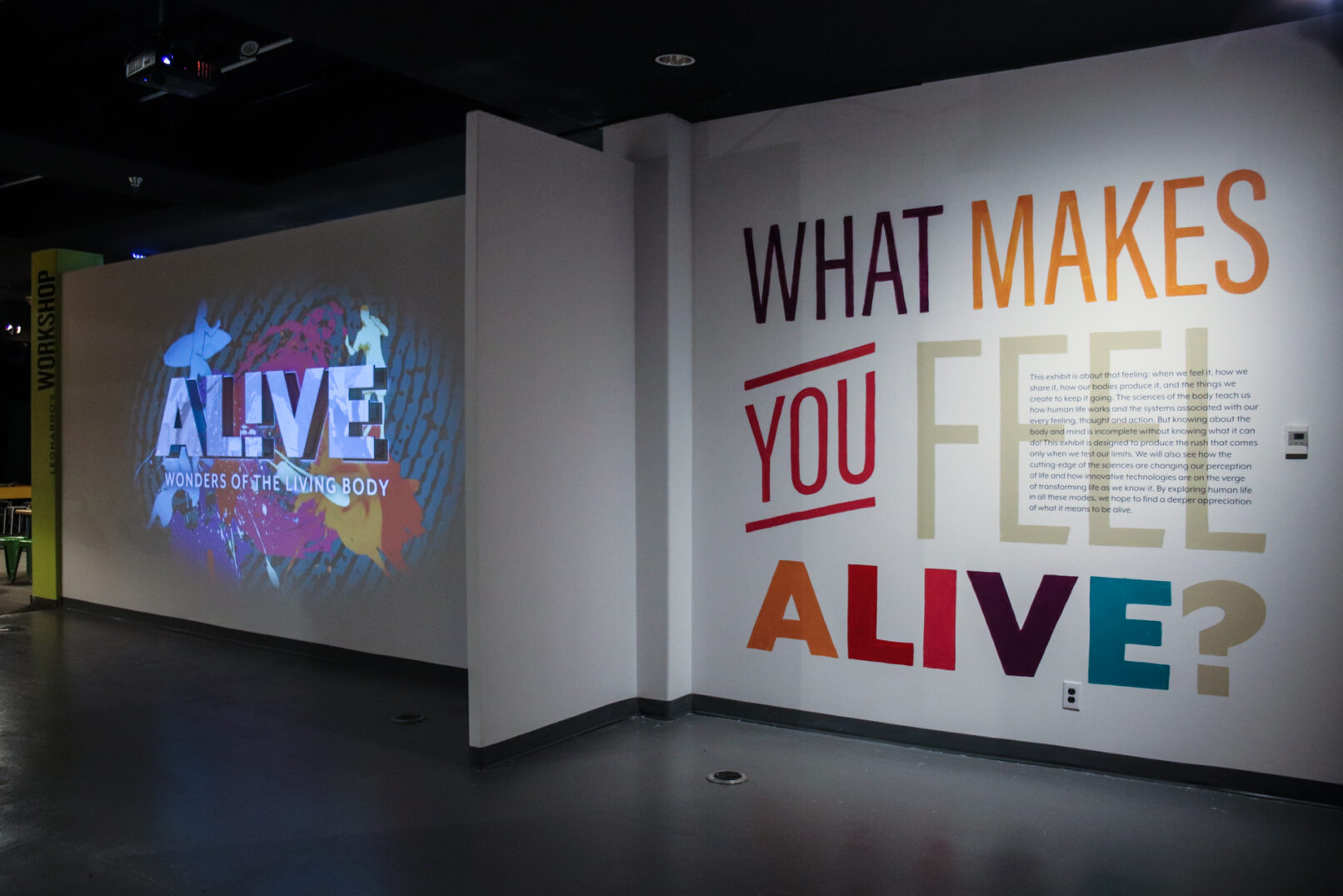 The Leonardo Da Vinci Connection Welcome Wall